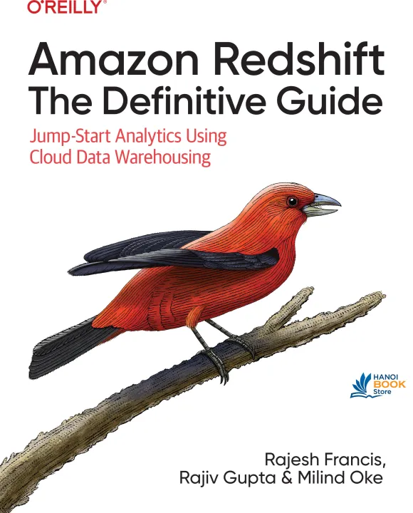 Amazon Redshift The Definitive Guide Jump-Start Analytics Using Cloud Data Warehousing
