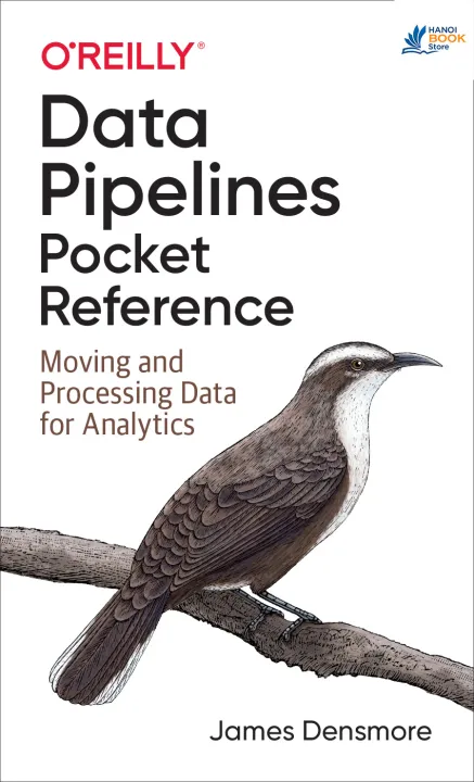 Data Pipelines Pocket Reference