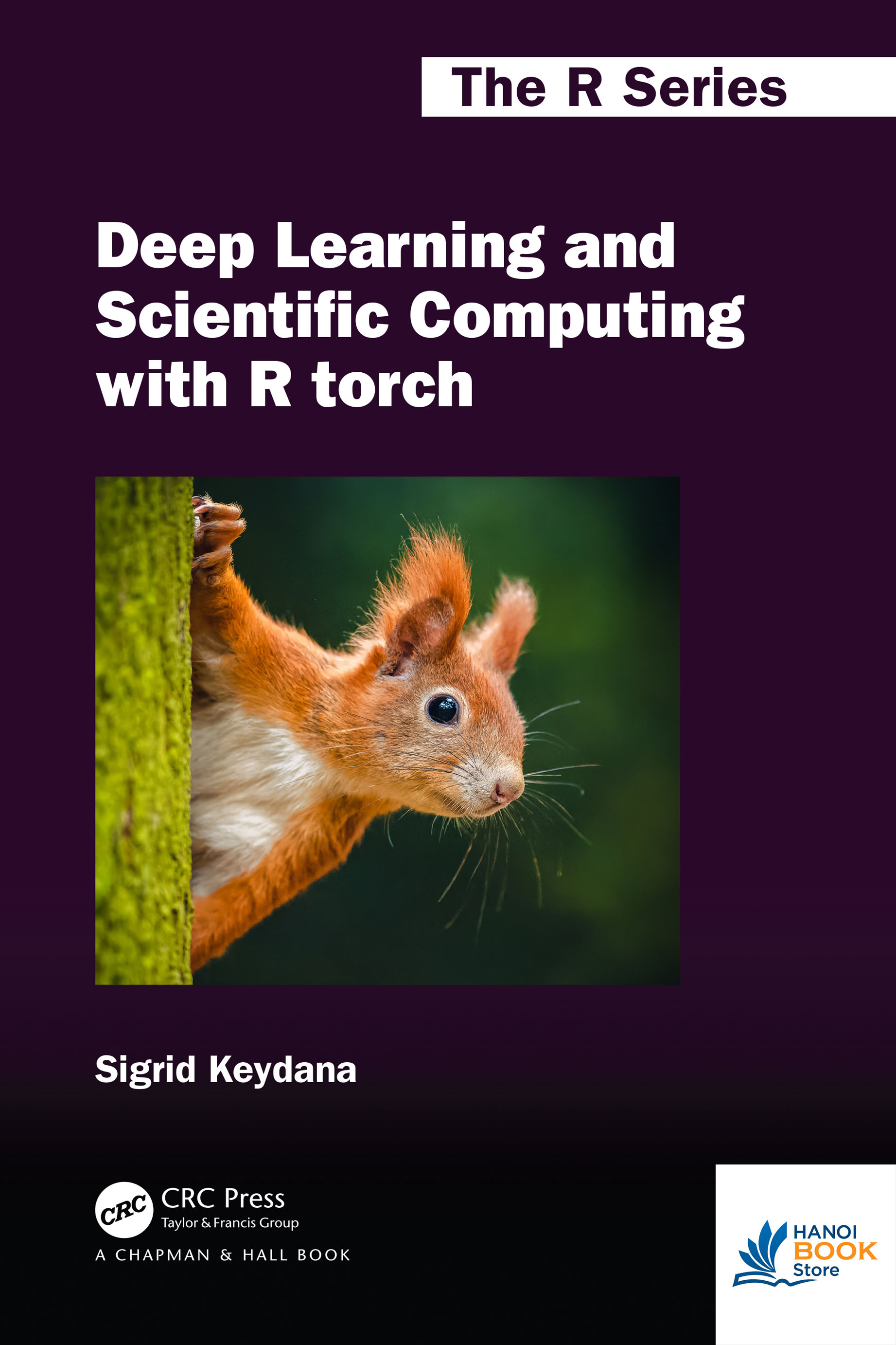 Sách Deep Learning and Scientific Computing with R torch