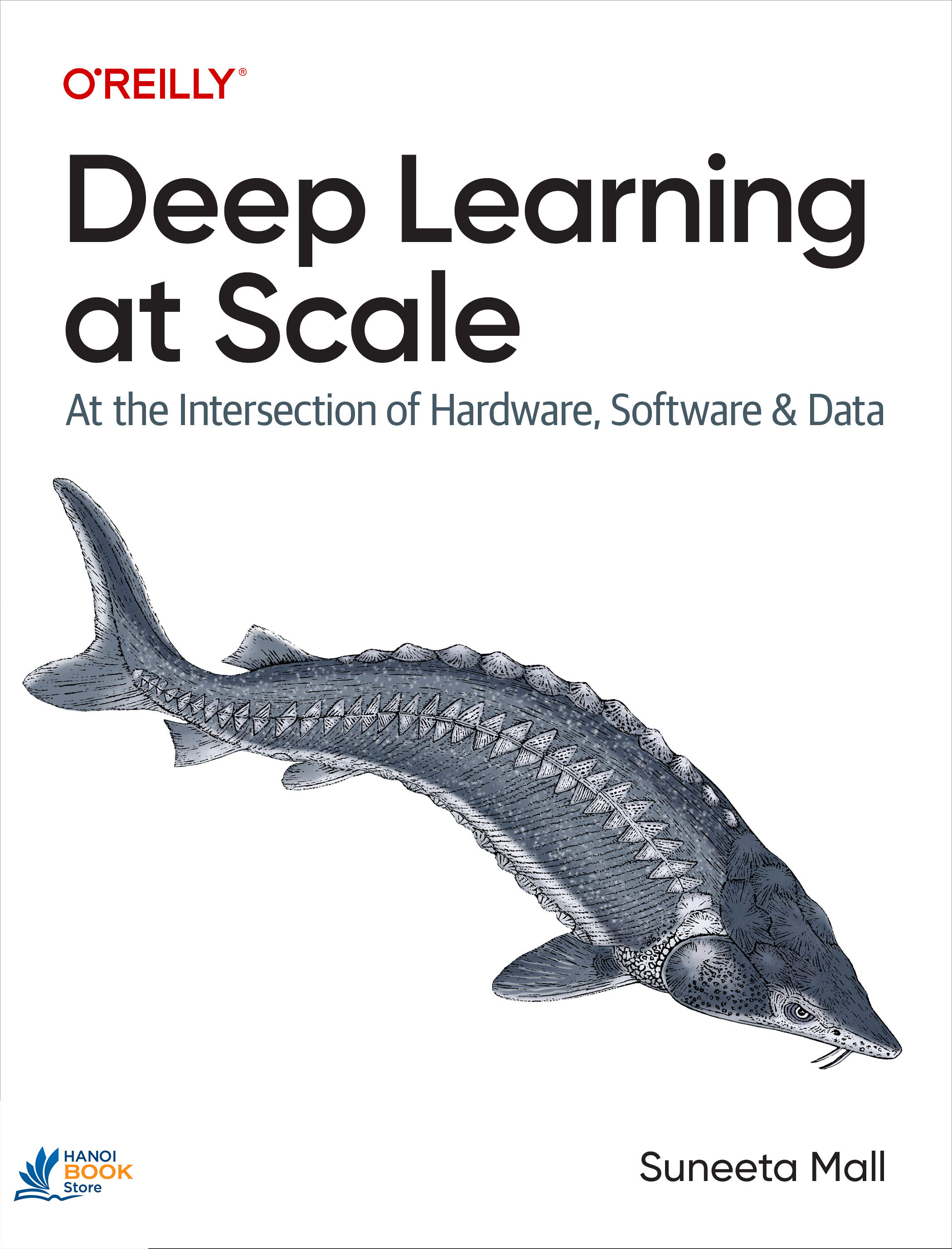 Sách Deep Learning at Scale At the Intersection of Hardware, Software, and Data