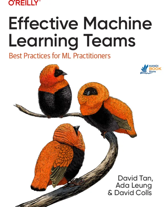 Effective Machine Learning Teams Best Practices for Ml Practitioners