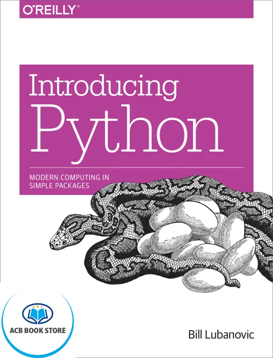 Introducing Python Modern Computing in Simple - Sala Bookstore