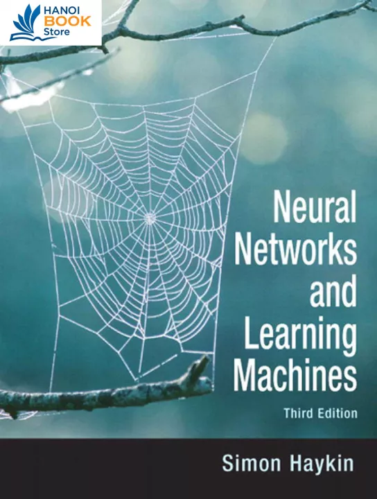 Neural Networks and Learning Machines