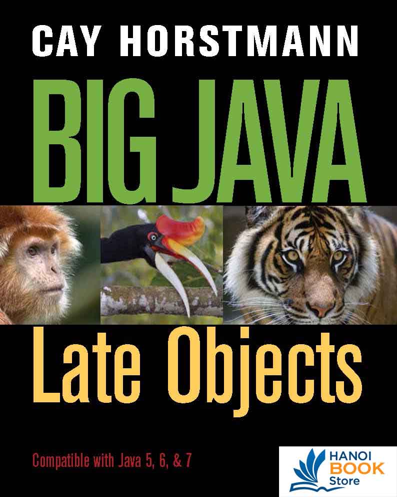 Big Java Late Objects