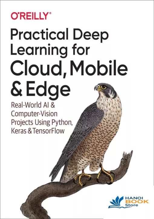 Practical Deep Learning for Cloud Mobile and Edge