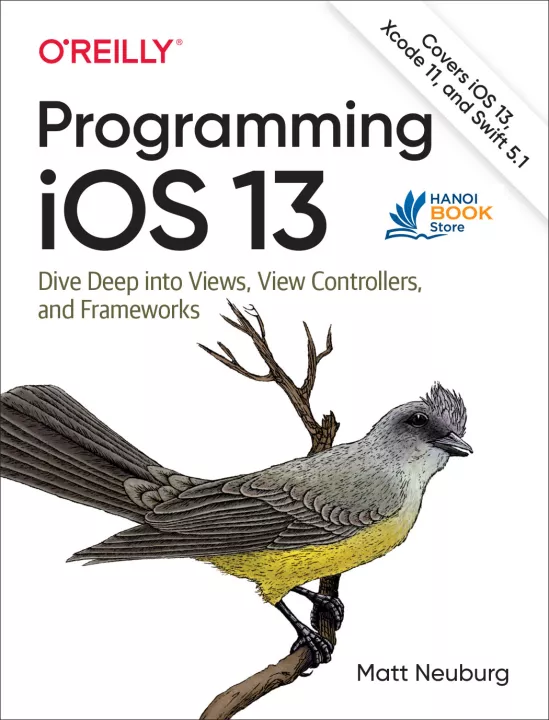 Programming iOS 13 Dive Deep into Views, View Controllers, and Frameworks