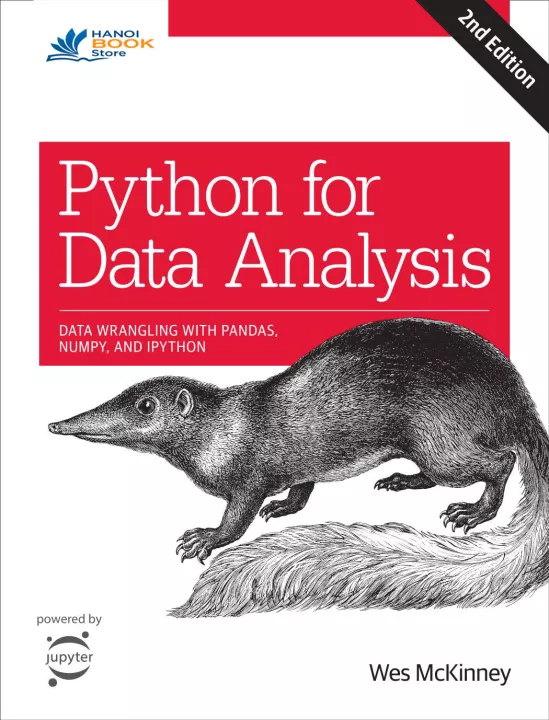 Python for Data Analysis