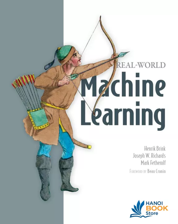 Real-World Machine Learning