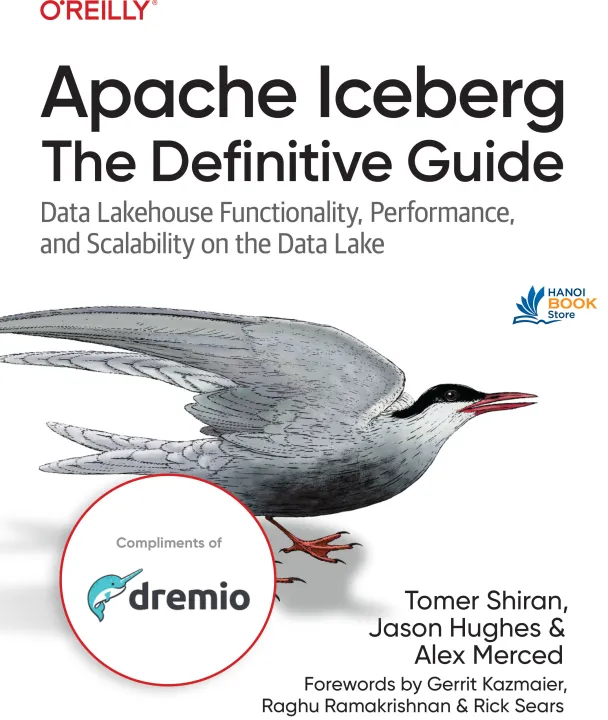 Sách Apache Iceberg The Definitive Guide Data Lakehouse Functionality