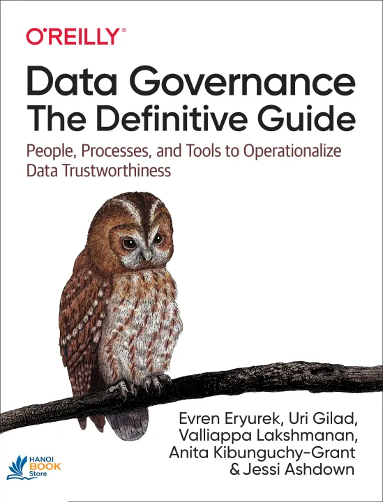 Sách Data Governance The Definitive Guide