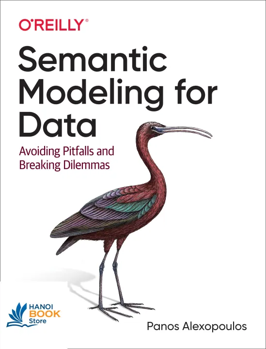 Sách Semantic Modeling for Data Avoiding Pitfalls and Breaking Dilemmas