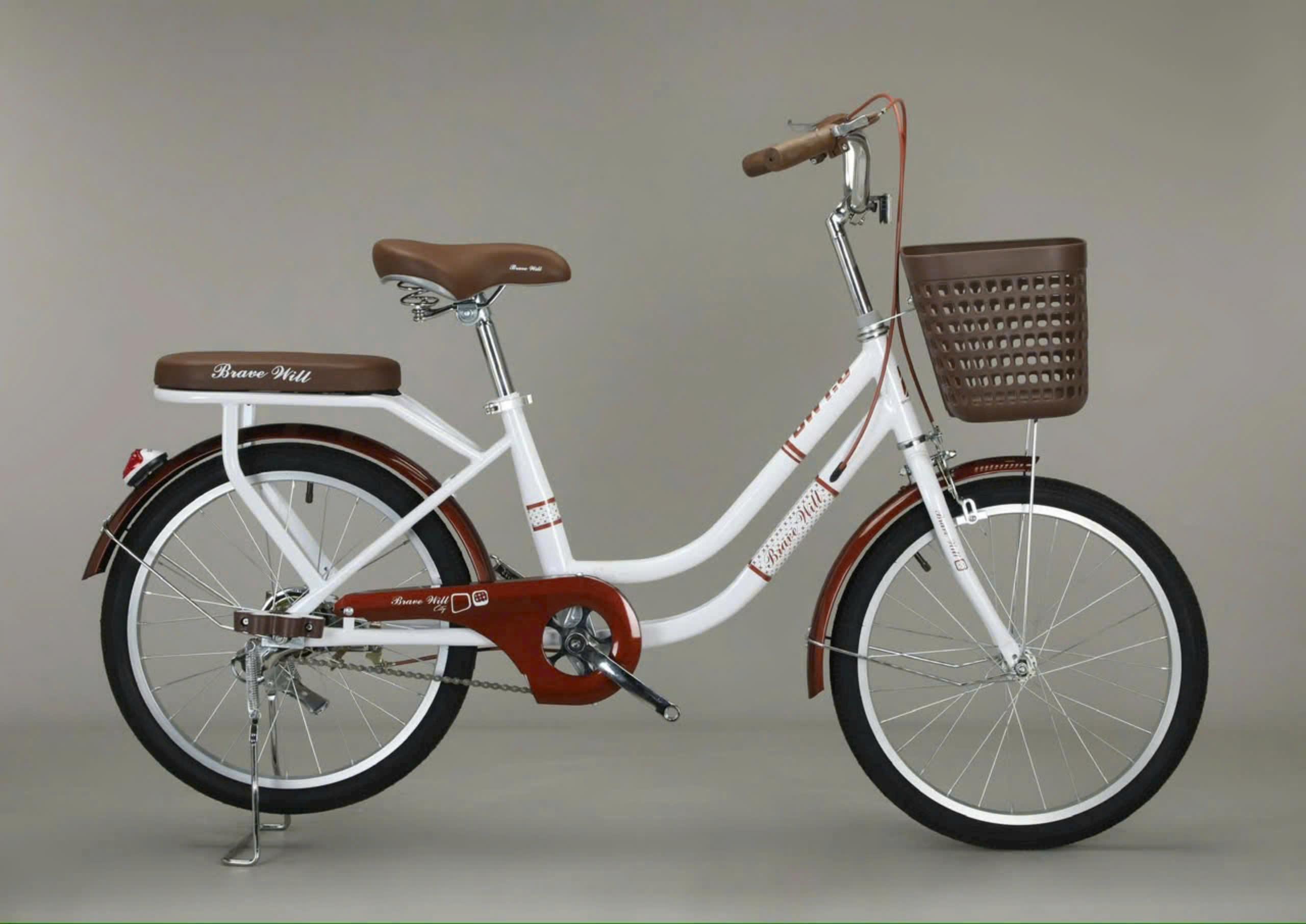 BRAVE WILL NỮ BAGA YH - Xe Đạp Nữ