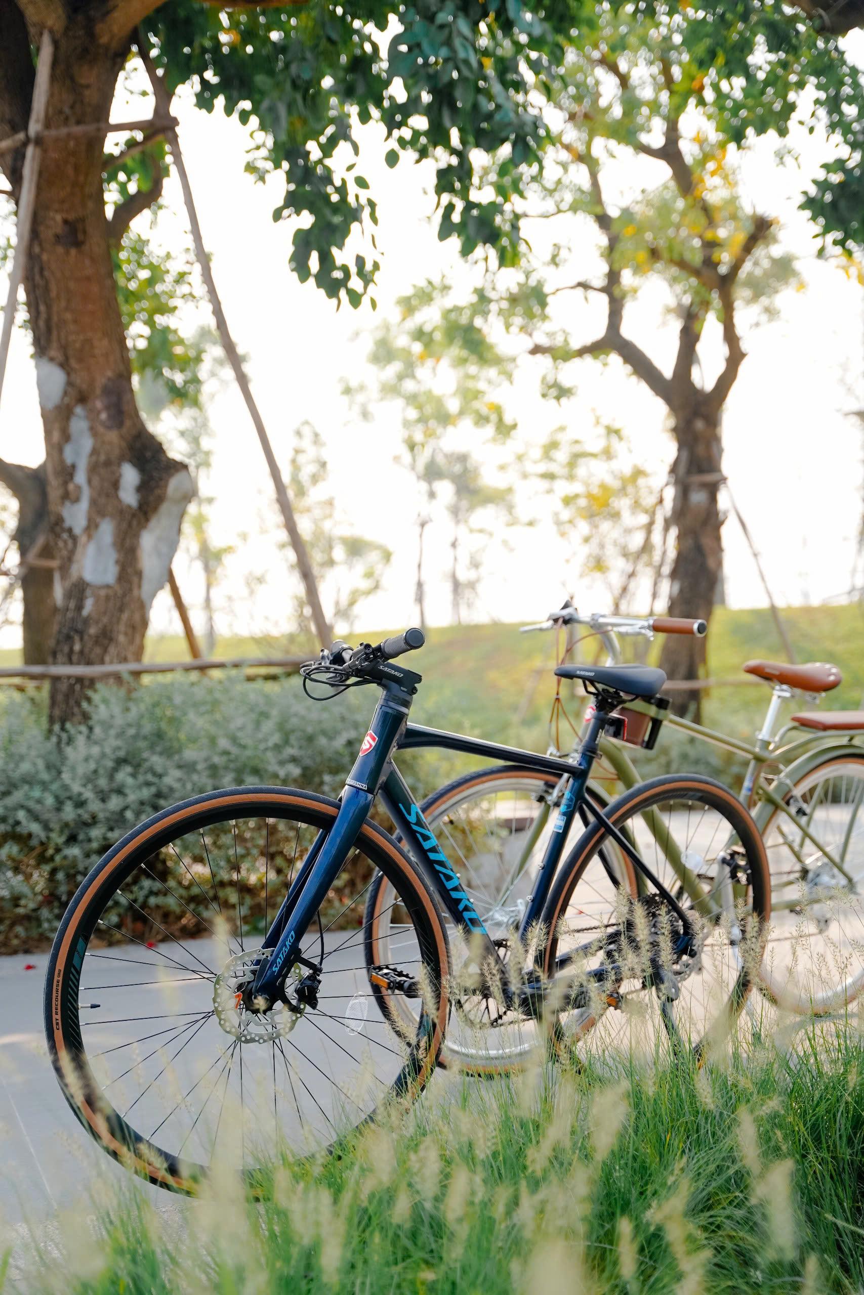 SATAKO SELYNA xe đạp đường phố touring 700x28c, đề SHIMANO CUES U6000