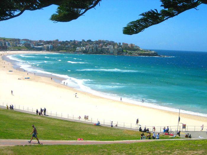 Bãi biển Đồi Dương – Lá phổi xanh ven biển giữa lòng thành phố Phan Thiết