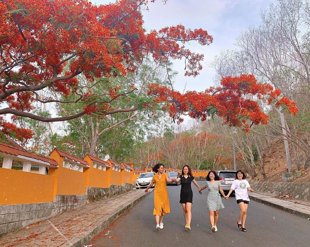 Đường lên Hải đăng Vũng Tàu – Cung đường uốn lượn đẹp nhất thành phố biển