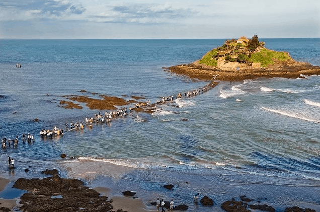Hon Ba Island Vung Tau – A Mysterious Walk Across the Sea You’ll Never Forget